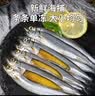 京喜加多春鱼满籽大号多籽鱼新鲜冷冻全籽多春鱼人吃海鲜水产烧烤食材 满籽多春鱼 1kg【实惠装】 实拍图