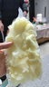 美丽雅静电除尘掸原装替换头共10片装一次性鸡毛掸子扫灰除尘 实拍图