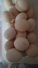京鲜生可生食标准鲜鸡蛋30枚礼盒装3斤 源头直发 实拍图