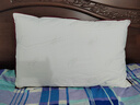 水星家纺枕头枕芯酒店枕头护颈枕头芯家用一对纯棉抗菌可水洗中枕48x74cm 实拍图
