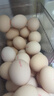 CP  正大 富硒鲜鸡蛋 30枚 3.36斤 无抗生素 优质蛋白 年货节礼盒装 实拍图