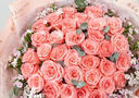 百花馆鲜花速递小时达玫瑰花满天星真花束生日礼物送女友表白同城配送花 【缘定三生】33朵粉玫|U65 实拍图