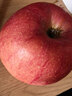 阿克苏苹果新疆阿克苏冰糖心苹果 当季应季新鲜时令水果整箱红富士丑苹果 10斤【精品中大果】单果75-85mm 净重8.5斤 实拍图