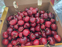 京鲜生 智利车厘子巨无霸3J级5斤礼盒果径约30-32mm水果礼盒 送卡尺 实拍图