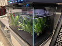 米家智能生态鱼缸还原自然生态 智能鱼缸+滤芯套装 实拍图