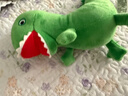 小猪佩奇恐龙先生毛绒玩具大号乔治儿童玩偶佩琪公仔女孩新年礼物 实拍图
