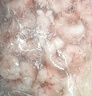万景海虾仁/深海红虾仁 净重400g/盒 出口品质 深海捕捞 聚餐年货 实拍图