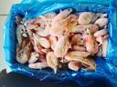 渔吻北极甜虾原装进口头籽刺身特大号北极熊腹籽甜虾冰虾元宝虾满籽虾 礼盒装90-120头籽甜虾 3斤(净重)  丹麦 实拍图