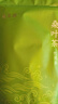 福茗源 茶叶花草茶 桑叶茶 花茶叶精选霜后桑葚叶炒制新鲜桑叶袋装250g 实拍图