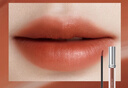卡姿兰（Carslan）甜吻唇釉口红锁色系列柔雾显白不易掉色L06血橙番茄 1.7g情人节礼 实拍图
