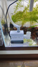 森森 小鲤鱼缸水泵小型潜水泵过滤泵抽水泵XQP-1000 15W  实拍图