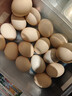 京鲜生 无抗保洁鲜鸡蛋30枚/盒 健康轻食 礼盒送礼 1.5kg/盒 源头直发 实拍图