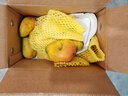 京鲜生 海南小台芒 净重4.5斤 单果100g起 生鲜水果 源头直发 实拍图