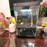 米家智能桌面鱼缸小米生态鱼缸小型智能专业背滤一体缸自循环 实拍图