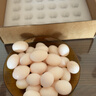 均鲜新鲜土鸽子蛋杂粮喂养农家特产白鸽蛋信鸽蛋孕妇宝宝年货节礼盒装 30枚610g左右精选鲜鸽蛋 实拍图