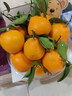 泰汇吃四川春见耙耙柑新鲜水果整箱孕妇橘子时令柑橘 净重4.5斤精选【70-75MM】 实拍图