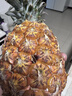 京鲜生 海南金钻凤梨  2个装 单果2斤起  生鲜水果 实拍图