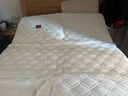 无印良品A类多针床褥大豆床垫遮盖物家用四季防滑1.5x2米床折叠褥子 实拍图
