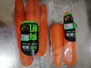 有机胡萝卜400g 实拍图