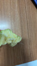 奶油即食芭乐黄心芭乐 超级软糯香甜  送酸梅粉新鲜水果 3斤装（4-8个果） 实拍图