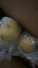 广东香水黄柠檬包邮新鲜水果柠檬精选皮薄奶茶店专用整箱 现货 黄香水柠檬6粒装  单果70g+ 实拍图