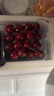 京喜加【推荐品】智利进口车厘子爆甜多汁大樱桃生鲜水果礼盒包装随机 100克(净重) 尝鲜装-非礼盒 小果 XL 单果24-26mm 实拍图
