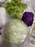 绿食者 新鲜蔬菜沙拉组合4斤 西餐色拉沙拉生菜轻食健身食材配菜 4斤【有沙拉酱】 实拍图