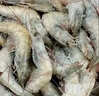 东上御品虾 青岛大虾基围虾鲜活青虾白虾海虾对虾冰虾冻虾生鲜 虾类 海鲜 3斤(净重)  气冻大虾【活虾速冻】 11-12cm【单只无冰衣】 实拍图