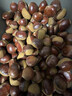 丹东新鲜板栗生栗子当季5斤现摘毛油栗子嫩板栗锥栗整箱生鲜蔬 9斤 【严选大果】净重8.5斤 实拍图