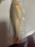 海名威 宁德三去黄花鱼2斤/2条净重 大黄鱼 生鲜鱼类 海鲜水产  年货节 实拍图