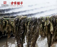 方家铺子中华老字号 紫菜100g/袋 海带紫菜蛋花汤虾米紫菜虾皮汤 实拍图