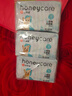 HONEYCARE好命家 狗狗纸尿裤公狗尿不湿安全裤XS适用体重2.5-4kg/12片3包装 实拍图