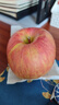 京鲜生 新疆阿克苏苹果 净重9斤 巨无霸95-100mm 新鲜水果 实拍图