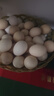 温氏供港鲜鸡蛋40枚/4斤家庭装 谷物喂养 无抗生素  牛奶早餐生鲜食材 实拍图