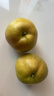 隰县玉露香梨 【顺丰现货】整箱香梨当季水果山西隰县小西天特产 孕妇水果送礼 9粒中果（净重约4.5斤）75+mm 实拍图