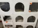 蔻丝猫笼子带厕所一体适合大猫家用室内三层超大自由空间猫别墅猫柜 实拍图