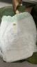 babycare金山茶花拉拉裤XXXXL26片(＞19kg)婴儿尿不湿超薄透气轻柔花苞裤 实拍图
