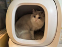 小佩智能自动猫砂盆全自动猫厕所MAX2 开放式一键换砂(支持鸿蒙智联)  实拍图