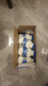 夏进酸牛奶195ml*20瓶整箱酸奶饮品乳饮料宁夏儿童学生营养牛奶 夏进酸牛奶195ml*20瓶【整箱】 实拍图