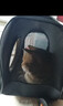KimPets猫包外出宠物便携单肩书包太空舱背包狗狗猫咪猫笼子外带携带用品 【憨憨熊】茶色遮光透气太空包 （0-12斤左右宠物适用）40*26*26 实拍图