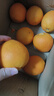 京觅秭归脐橙纽荷尔橙子净重9斤精品果200g+新鲜水果礼盒源头直发包邮 实拍图