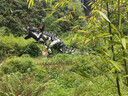 DTC东泰抽屉轨道滑轨三节全拉出轨道阻尼缓冲走珠导轨45mm 三节阻尼缓冲静音轨道-电泳黑钢 18寸-450mm（一副2条装） 实拍图