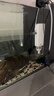 松宝（sobo）鱼缸过滤器三合一循环过滤增氧系统内置净水小型水族箱水泵 25W 实拍图