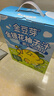金豆芽金银花柚子汁儿童零食饮料饮品小孩果汁年货礼盒100ml*22袋 实拍图