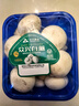 白蘑菇(口蘑) 230g 实拍图