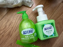 蓝月亮 抑菌芦荟洗手液300g瓶+抑菌泡沫洗手液（芦荟）255ml  实拍图