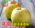 香凝梨园 山西隰县玉露香梨 临汾馆精品水果生鲜梨隰县特产礼盒装 12颗大果约9斤 实拍图