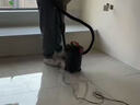 亿力吸尘器车家干湿两用超强大吸力 吹吸一体机除尘工业开荒保洁地毯家庭清洁手持有线桶式6263-12L    实拍图