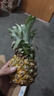 广东徐闻香水菠萝新鲜水果生鲜热带孕妇水果整箱包邮 【限时低价】1个装  单果650g起 实拍图