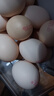 1号会员店 可生食标准鲜鸡蛋30枚 净重3斤 1号会员店自有品牌  源头直发 实拍图